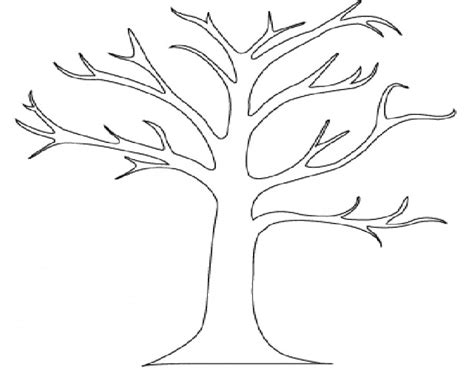 outline   tree drawing clipartsco