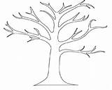 Tree Outline Drawing Cliparts Coloring Attribution Forget Link Don sketch template