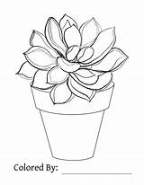 Succulent Succulents Quickandeasycreativecontent sketch template