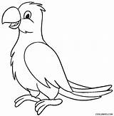 Parrot Papagaio Papagei Burung Mewarnai Kakak Ausmalbilder Hewan Cool2bkids Printable Loros Easy Malvorlagen sketch template