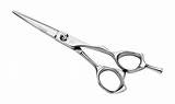 Scissors Barber Shears Comb Scissor Hairdressing Tijeras Transparent Barbero Hairdresser Pluspng Cliparts Grises Acero Inoxidable Peinar Imgkid Parlour Pngwing Webstockreview sketch template