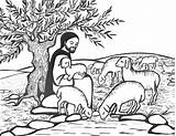 Goede Herder Kleurplaat Jezus Olvternood sketch template