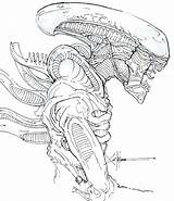 Xenomorph Alien Coloring Pages Deviantart Drawing Drawings Pro Predator Vs Chrisozfulton Draw Comic Sketch Template sketch template