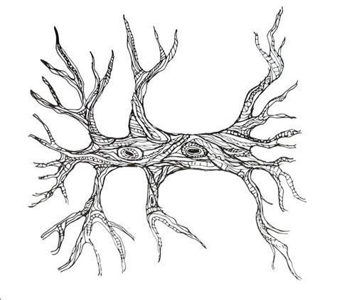 tree  roots coloring book page coloring books coloring book