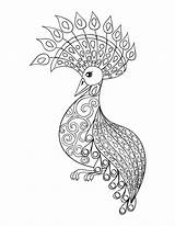 Coloring Pages Advanced Bird Adult Kidspressmagazine Animal Zentangle Printable Fantasy Adults Animals Getdrawings Mandala Getcolorings Drawing Illustartion Stress Now Peafowl sketch template