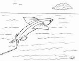 Flying Fish Coloring Pages Realistic Robin Great sketch template