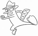 Platypus Coloring Pages Perry Phineas Ferb Drawing Trace Cartoon Drawings Printable Cool Print Kids Color Colouring Getdrawings Getcolorings Disney Unlimited sketch template