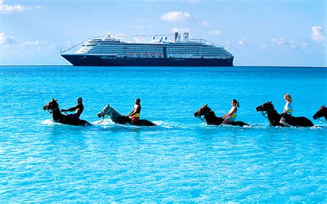 holland america cruises 2021 2022 and 2023 cruise deals destinations