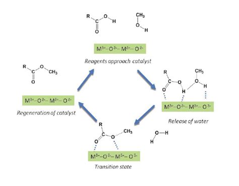 heterogeneous catalytic formation   methyl ester   fatty acid