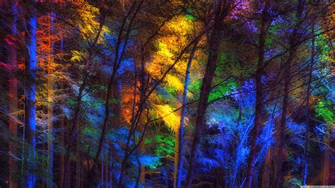 colorful forest 4k hd desktop wallpaper for 4k ultra hd tv wide and ultra widescreen displays