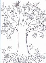 Colorat Copaci Imagini Toamna Pentru Milena Planse Universul Piticilor Publicat sketch template