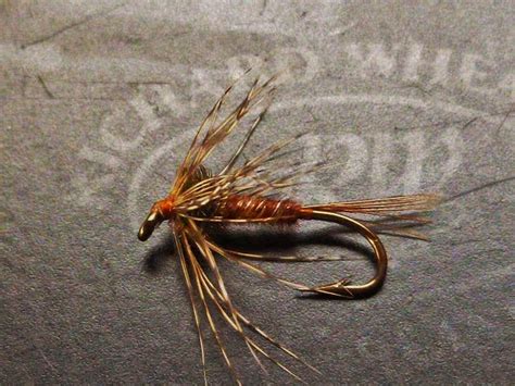 softhackle journal pheasant tail nymph soft hackle riff