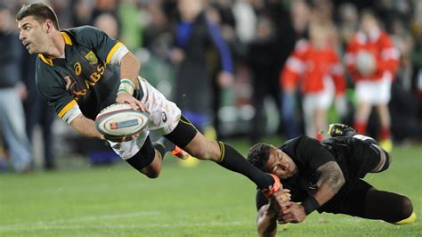 rugby championship australia   zealand preview rugby union news