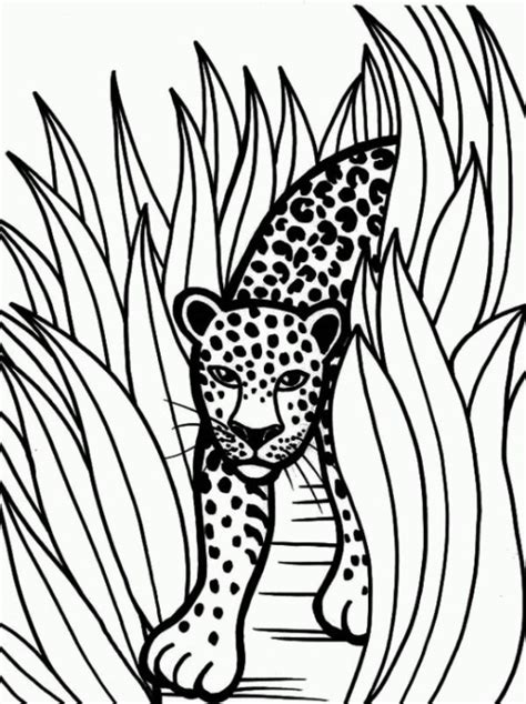 printable jaguar  color    crafts coloring pages