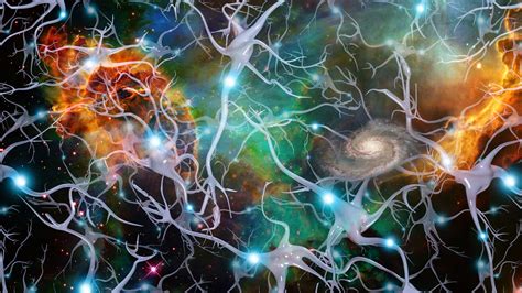 images  brain cells  universe brain anatomy brain waves