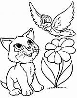 Coloring Pages Kitty Cats Cat Kitten Colouring Printable Cute Color Kleurplaat Book Coloriage Kids Animals Spring Kat Girls sketch template