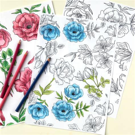 floral printable colouring sheets gathering beauty
