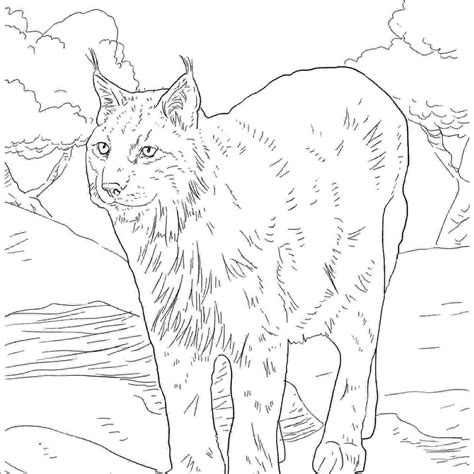 fortnite coloring pages lynx