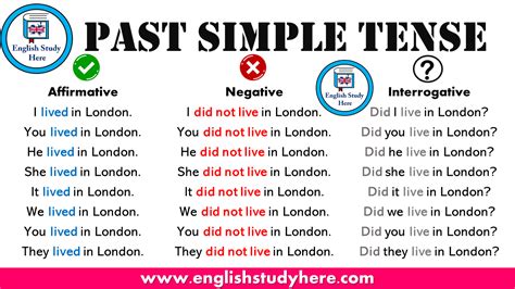 simple tense review english study