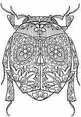 Coloring Pages Adult Adults Insect Colouring Mandala Abstract Printable Bug Anti Stress Zentangle Insects Beetle Advanced Relaxation Doodle Detailed Bugs sketch template