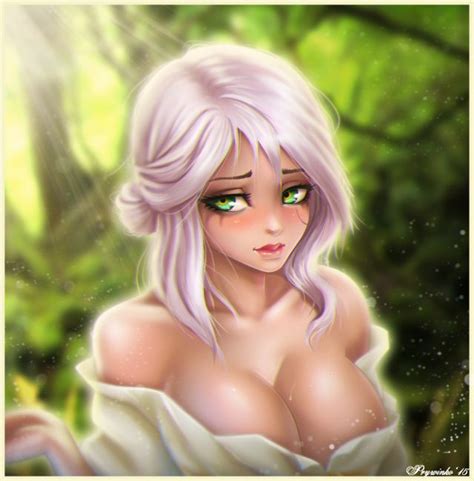 dbc92d3cce46004023597d0d106a2cb5 the witcher iii cirilla fiona elen