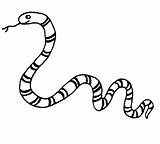 Snake Coloring Pages Print sketch template