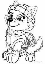 Paw Everest Pups Skye Ausmalbilder Canina Patrulha Youngandtae Coloringhome Imprimir Tundra Rant Wecoloringpage C2 Ingrahamrobotics sketch template