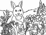 Spring Coloring Pages Themed Getdrawings sketch template