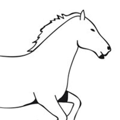 horse page    coloring pages surfnetkids