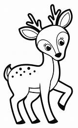 Fawn Deer Coloring sketch template