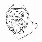 Pitbull Bully Staffordshire sketch template