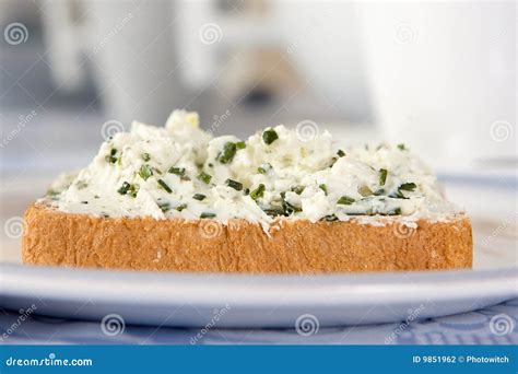 slice stock photo image  chive cream healthy