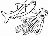 Shark Coloring Pages Hungry Getdrawings Color Getcolorings sketch template