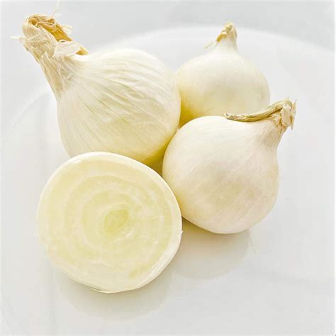 kejora fresh boiler onionsboiling onions  lb amazoncom grocery