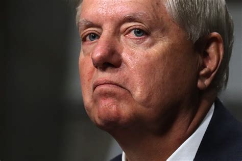 lindsey graham says ‘enough is enough tells trump ‘hell of a ride is