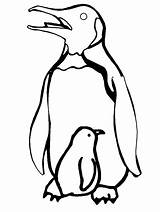 Penguin Coloring Penguins Pages Printable Template Baby Outline Animals Color Kids Drawing Print Animal Cartoon Sheets Clipart Book Chick Cliparts sketch template