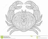 Crab Krab Kleurend Boek Zentangle Stress sketch template