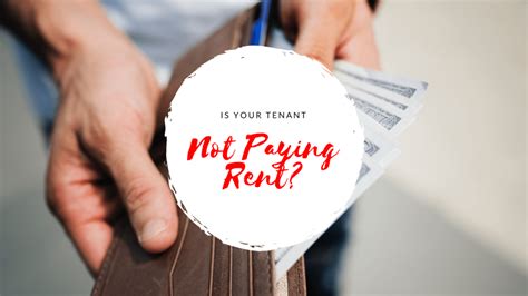 is your tenant not paying rent a guide to collecting rent in santa