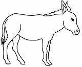Coloring Donkey Color Pages Animals Printable sketch template