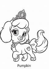 Colorear Mascota Dibujosparacolorear Princesas Mascotas Princesa Perro Littlest sketch template