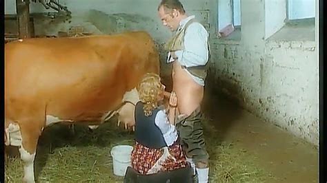 milking the cow and then the farmer hd from herzog videos