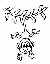Coloring Monkey Hanging Pages Smiling Colouring sketch template