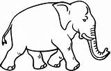 Elephant Coloring Pages Animals Tusked Wildlife Gif sketch template