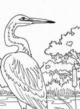 Coloring Egret Pages Heron Adult Embroidery Pattern Color Digital Beach Colouring Great Blue Sheet Designlooter Printable Sheets Patterns Hand 777px sketch template