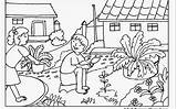 Garden Coloring Pages Kids Colouring Printable Flower Pic Insect Getdrawings sketch template