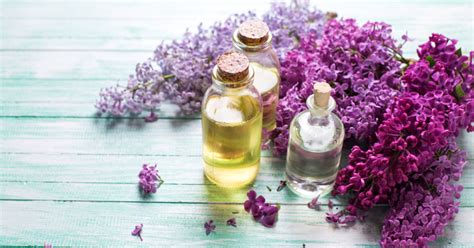 natural fragrances   leave  smelling great goodnet