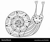 Coloring Pages Snail Zentangle Adult Vector sketch template