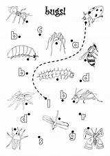 Worksheets Preschoolers Bug Nooitgenoeg Vlinder Rupsje sketch template