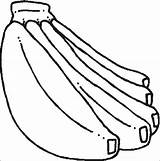 Coloring Bunch Bananas Banana Sheet Template sketch template
