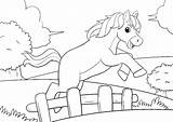 Pferde Ausmalbilder Springen Einfach Pferd Ausmalbild Ausdrucken Springendes Downloaden sketch template